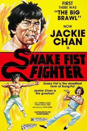 Snake Fist Fighter's poster