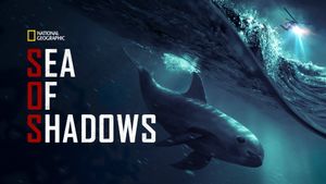 Sea of Shadows's poster