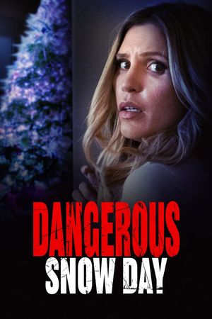 Dangerous Snow Day's poster