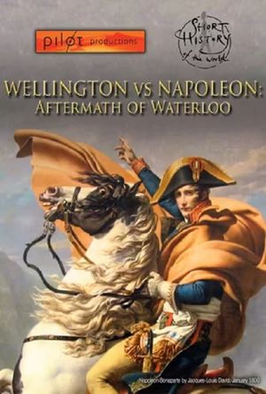 Wellington vs. Napoleon: Aftermath of Waterloo's poster