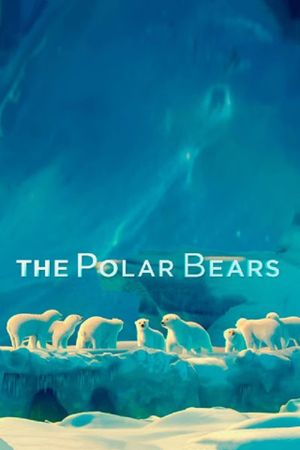 The Polar Bears's poster