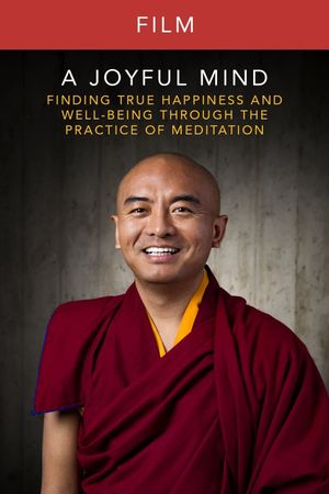 A Joyful Mind - Finding true happiness through the practice of meditation's poster