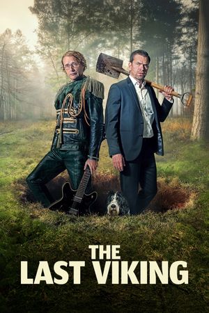 The Last Viking's poster