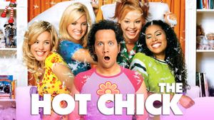 The Hot Chick's poster
