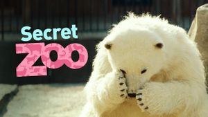 Secret Zoo's poster
