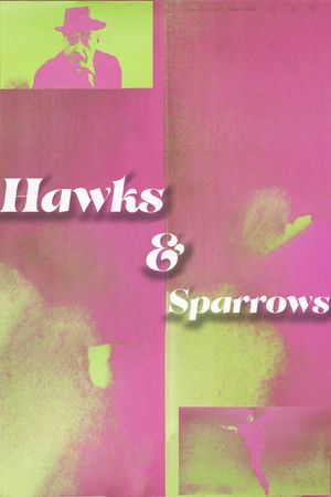 The Hawks and the Sparrows's poster