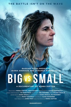 Big vs Small's poster