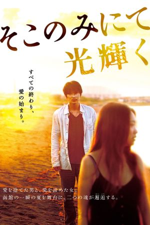 The Light Shines Only There's poster