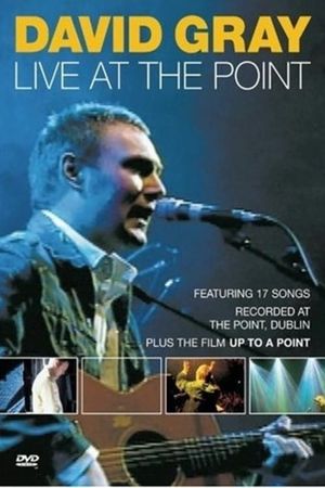 David Gray: Live at the Point's poster