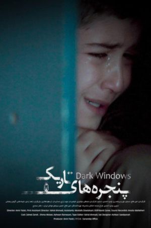 Dark Windows's poster