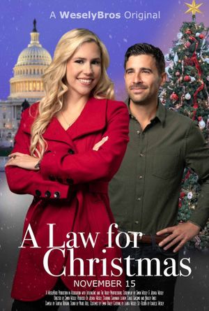 A Law for Christmas's poster