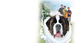 Beethoven's 4th's poster