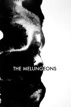 The Melungeons's poster