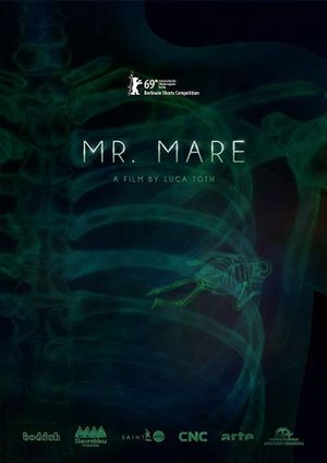 Mr. Mare's poster image