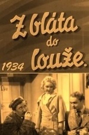 Z bláta do louze's poster