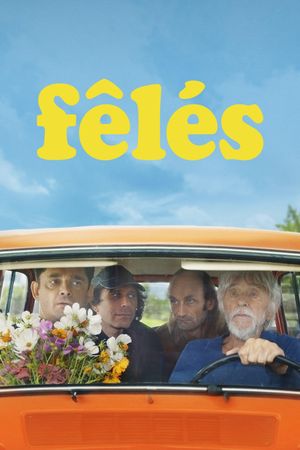 Fêlés's poster