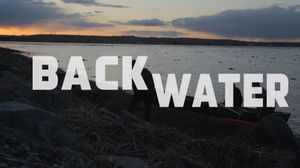 Back Water's poster