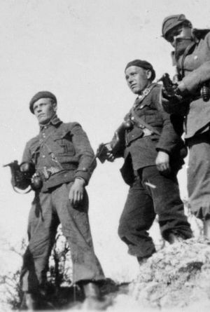 To My Son in Spain: Finnish Canadians in the Spanish Civil War's poster image