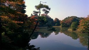 Dream Window: Reflections on the Japanese Garden's poster