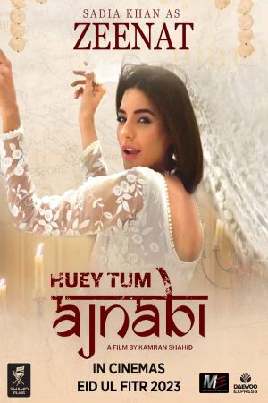 Huey Tum Ajnabi's poster