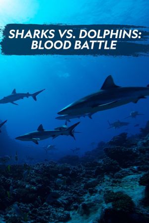 Sharks vs. Dolphins: Blood Battle's poster