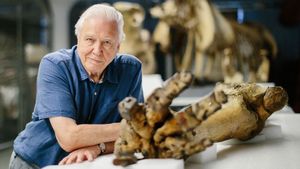 Attenborough and the Giant Elephant's poster