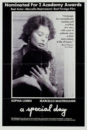 A Special Day's poster