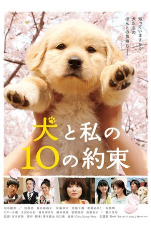 10 Promises to My Dog's poster