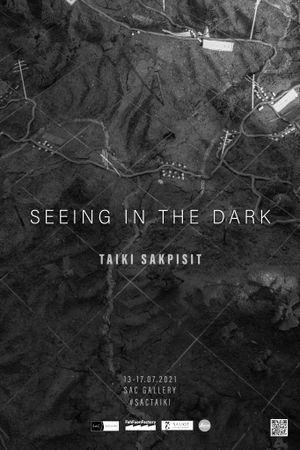 Seeing in the Dark's poster