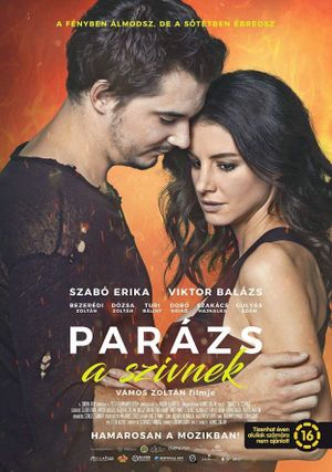 Parázs a szívnek's poster image