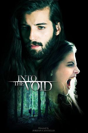 Into the Void's poster image