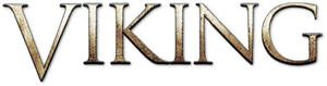 Viking's poster