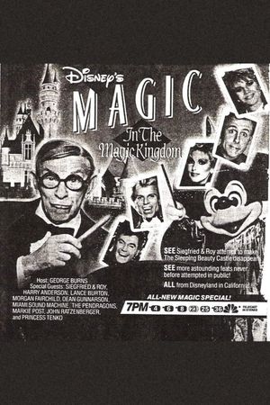 Disney's Magic in the Magic Kingdom's poster