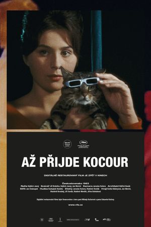When the Cat Comes's poster