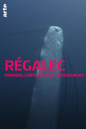 Régalec, premiers contacts avec le poisson roi's poster image