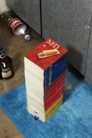The Books's poster