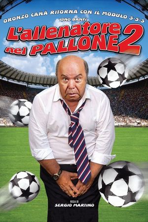 L'allenatore nel pallone 2's poster