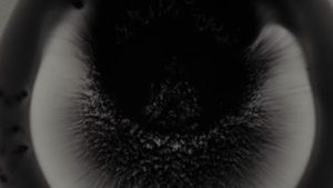Michael Gira: I Wonder If I’m Singing What You’re Thinking Me to Sing (Live Solo 2022)'s poster