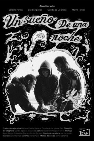 One Nights Dream's poster