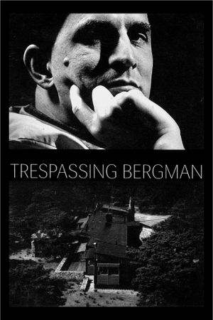 Trespassing Bergman's poster