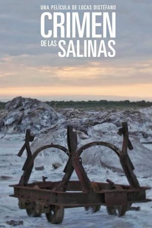 Crimen de Las Salinas's poster