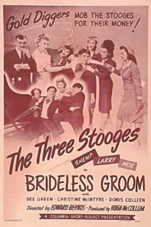Brideless Groom's poster image