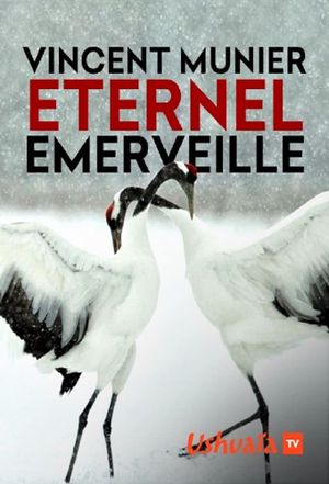 Vincent Munier, éternel émerveillé's poster