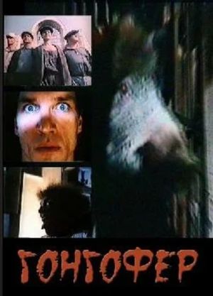 Gongofer's poster