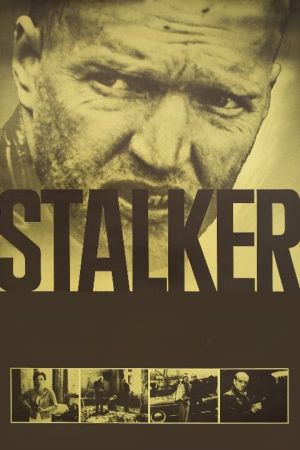 Stalker's poster