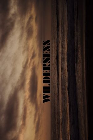 Wilderness's poster