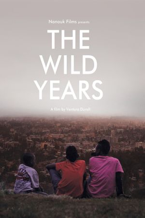 The Wild Years's poster image