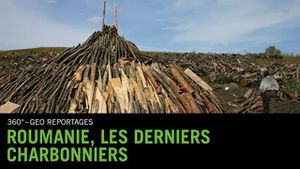 Roumanie, les derniers charbonniers's poster