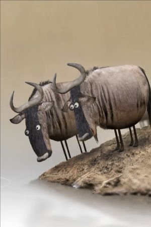 Wildebeest's poster