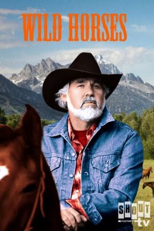 Wild Horses's poster